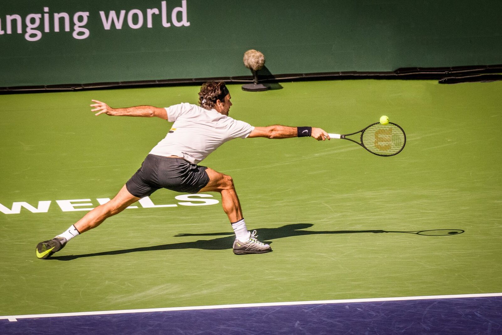 Fed 11
